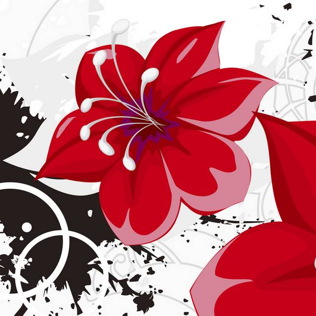 红色花朵组合装饰画