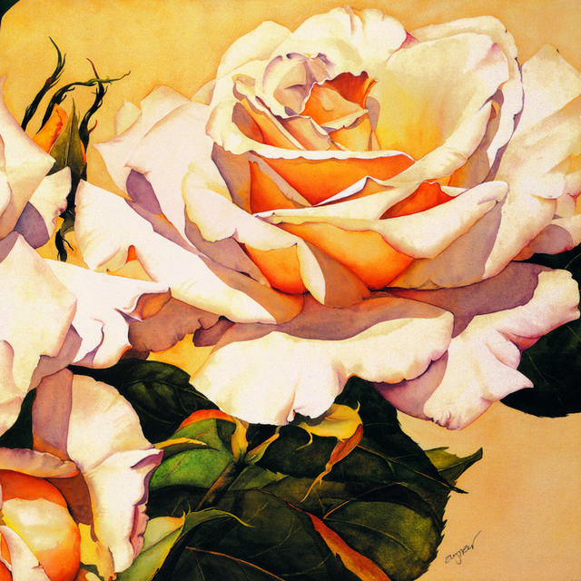 阳光下的玫瑰花装饰画1