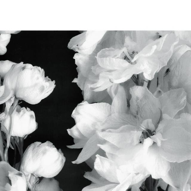 白色布绢花客厅装饰画1