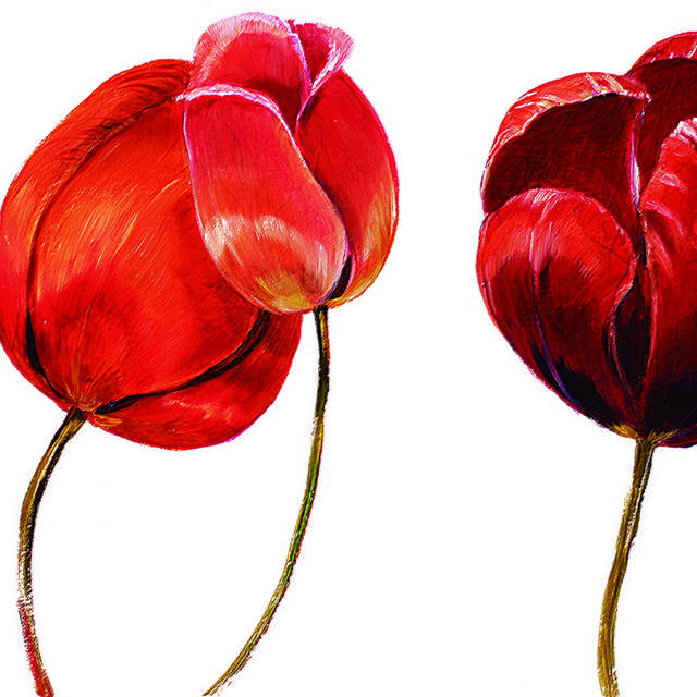 红色花卉油画装饰画1