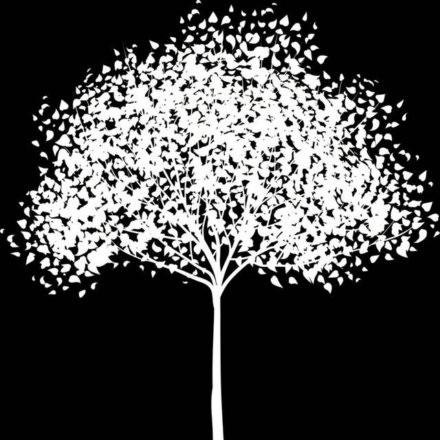 黑白树木树叶装饰画1