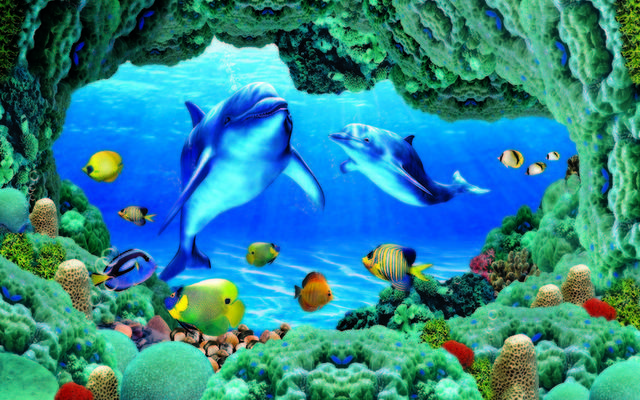 绿色珊瑚海豚背景