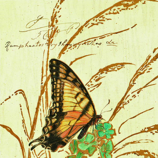 复古花与蝴蝶装饰画