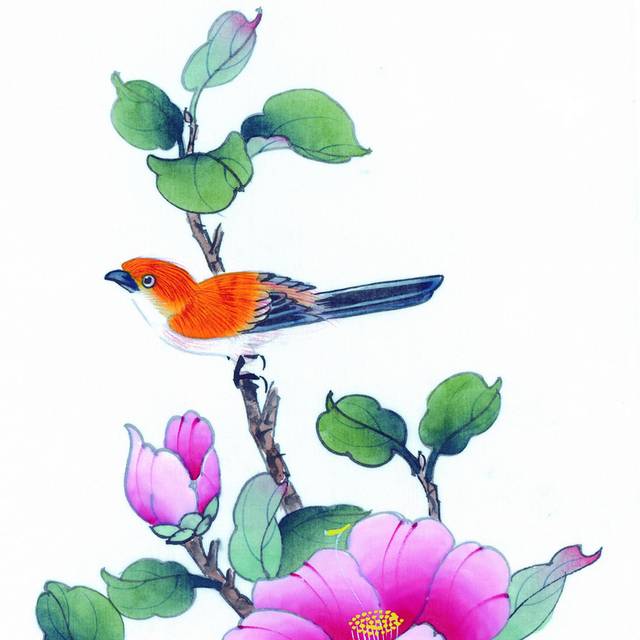 粉色花卉与橘色鸟工笔画