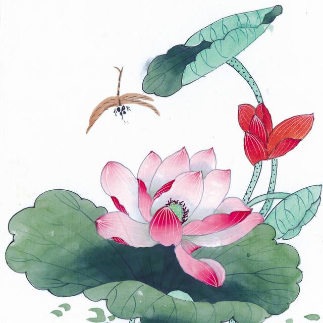 荷花蜻蜓工笔画素材