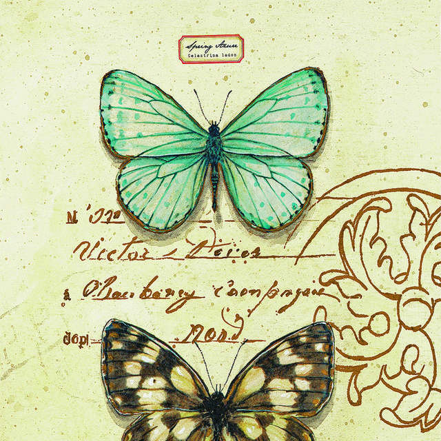 两只蝴蝶标本装饰画