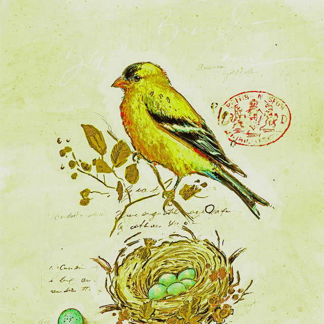 黄色小鸟装饰画