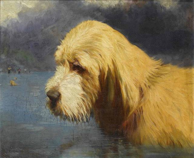 在水里的狗油画装饰画