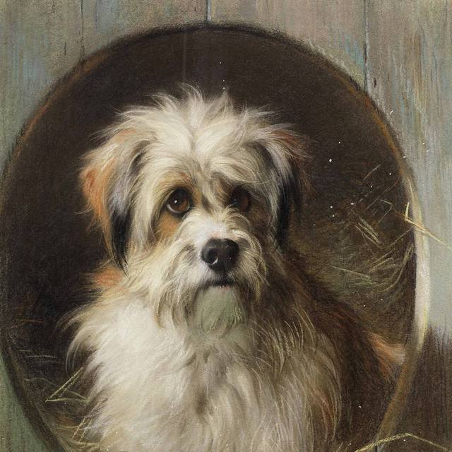 站在洞里面的狗油画装饰画