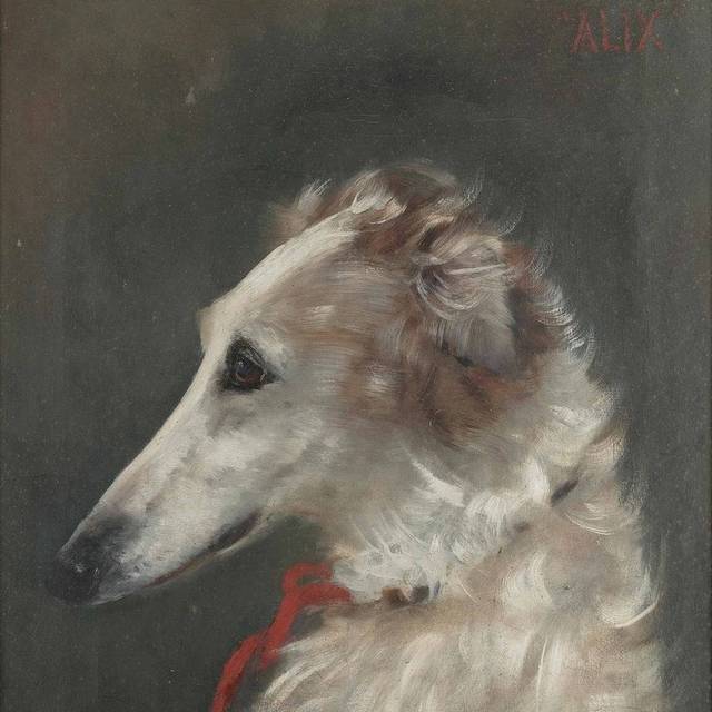 宠物狗艺术油画装饰画4