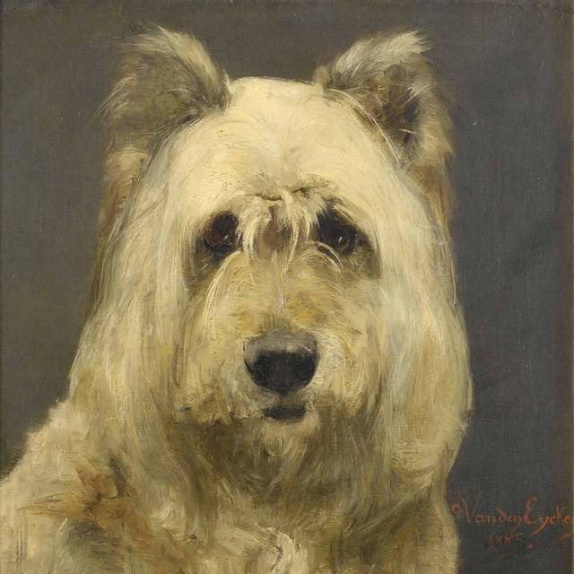 宠物狗艺术油画装饰画