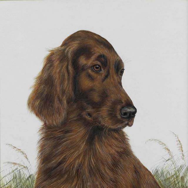 褐色狗艺术油画装饰画