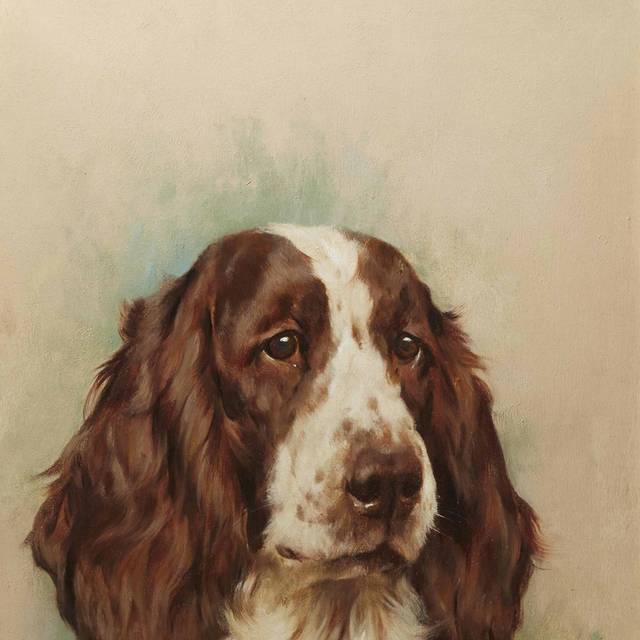 可爱的狗艺术油画装饰画