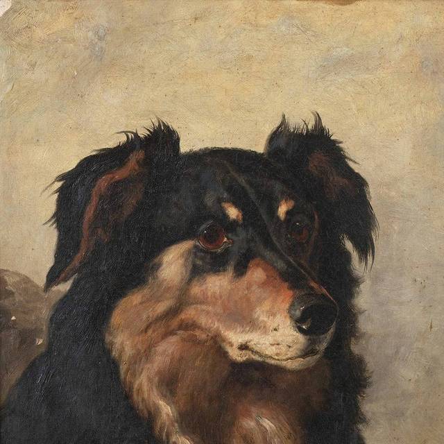 黑色宠物狗艺术油画装饰画
