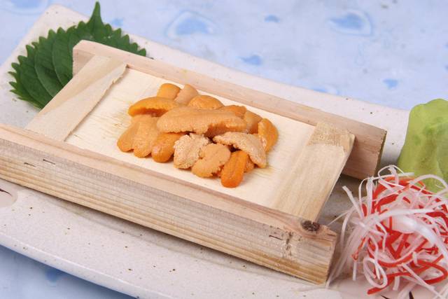 海胆图片3