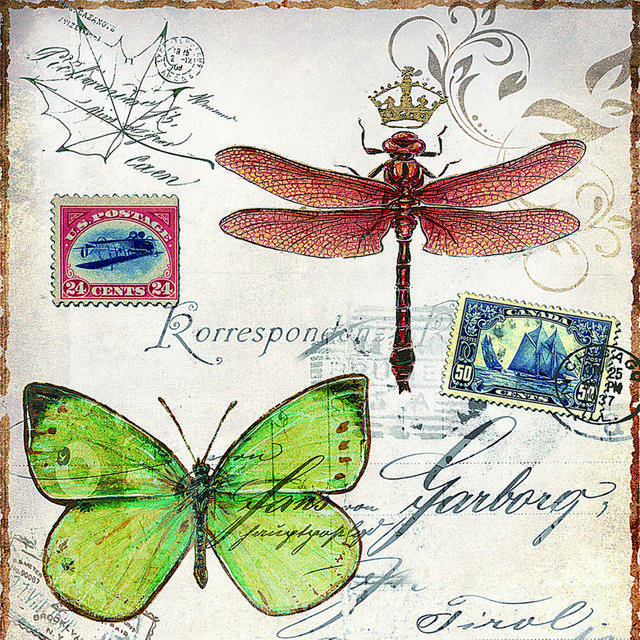 蝴蝶蜻蜓明信片无框画