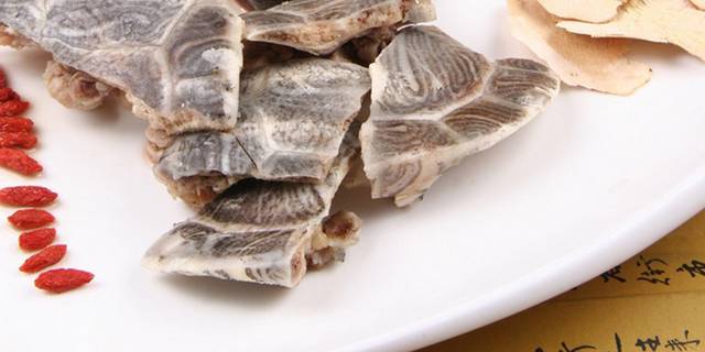 茅根茯苓煲草龟图片