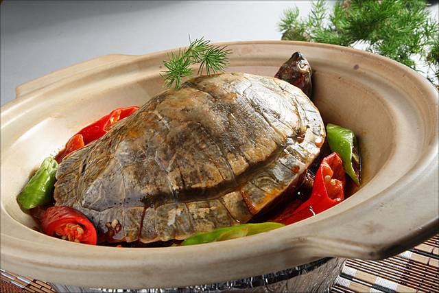 菜品餐饮美食图片