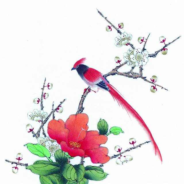 红色花与鸟工笔画
