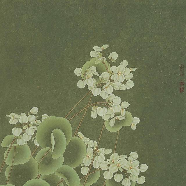 绿叶白花工笔装饰画