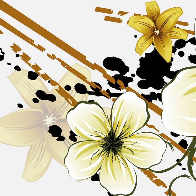 泼墨褐色线条白黄花朵装饰画