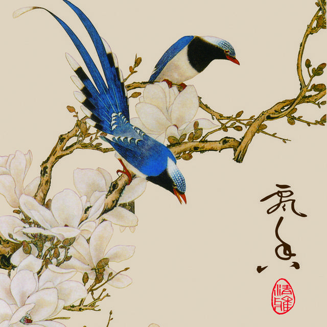 蓝鸟白玉兰玄关画素材
