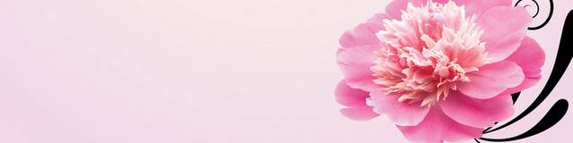 浪漫粉色小花客厅装饰画