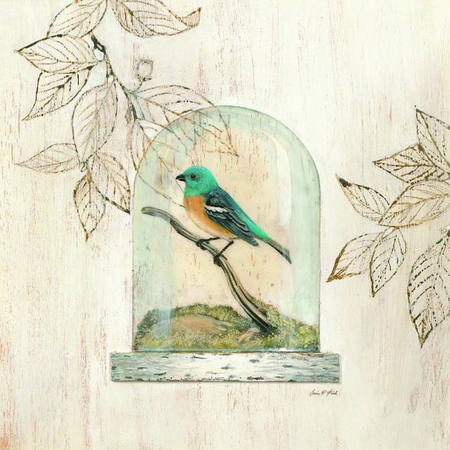 玻璃罐子里的小鸟装饰画