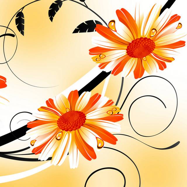 手绘橙白非洲菊装饰画2