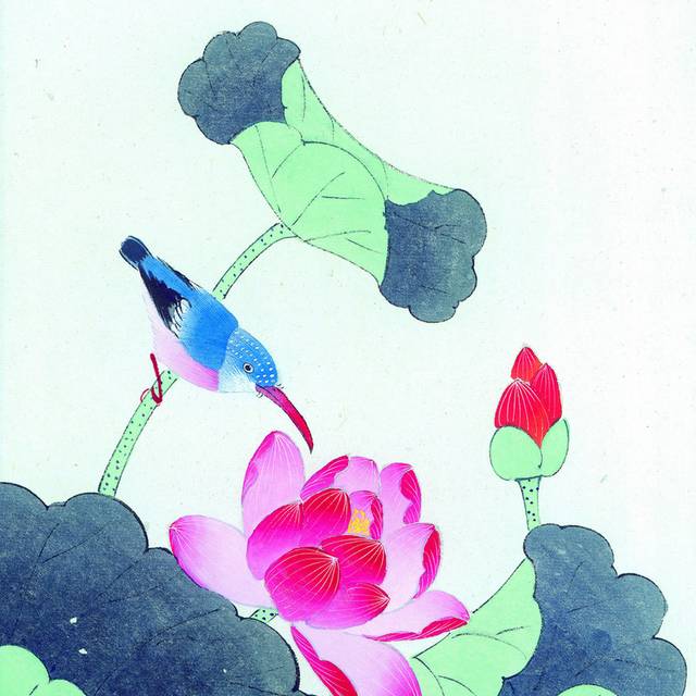 粉红荷花与蓝鸟工笔画