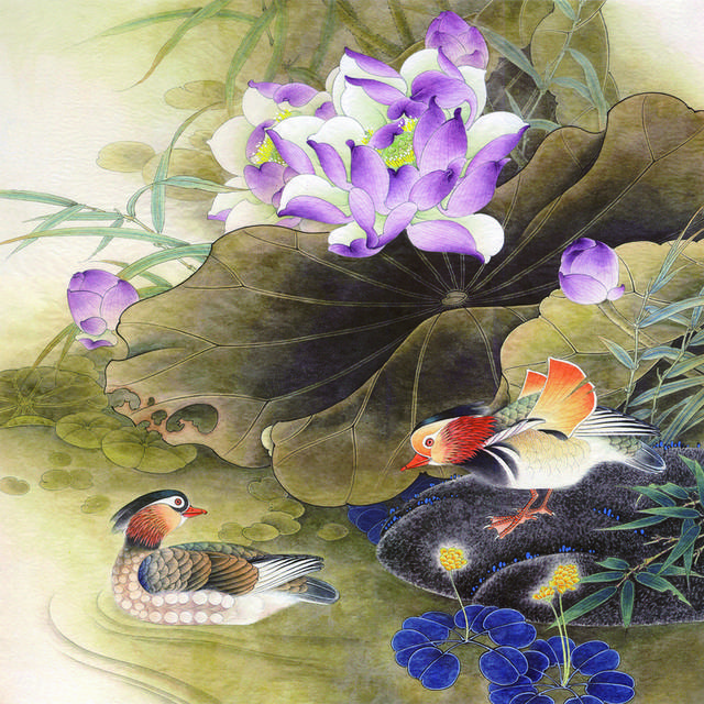 莲花与鸳鸯工笔画2