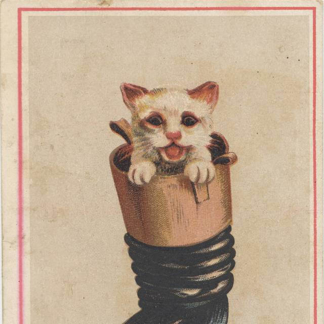 鞋子里的猫装饰画素材