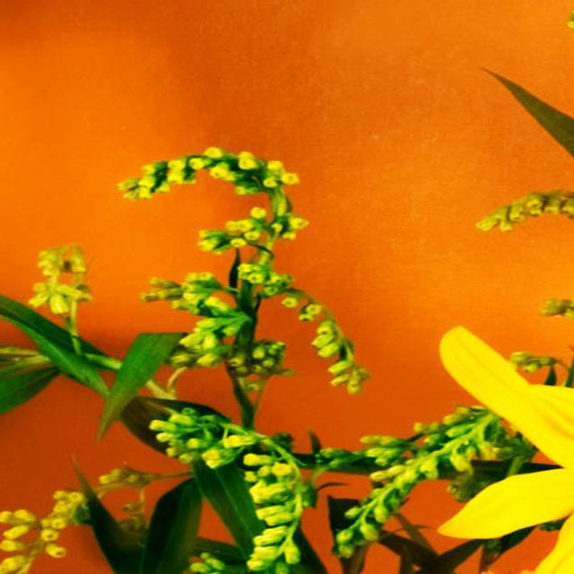 橙底缤纷花卉装饰画