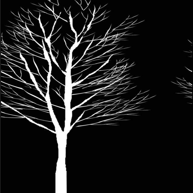 黑白树木叉装饰画1