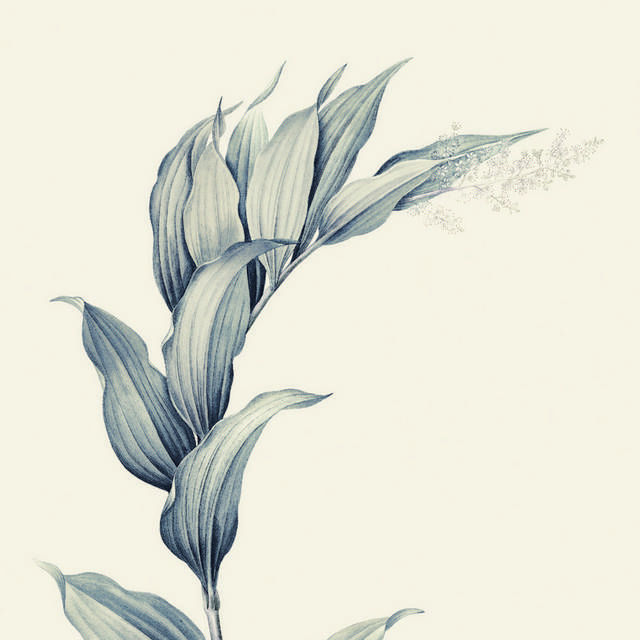 秋亦晚3装饰画