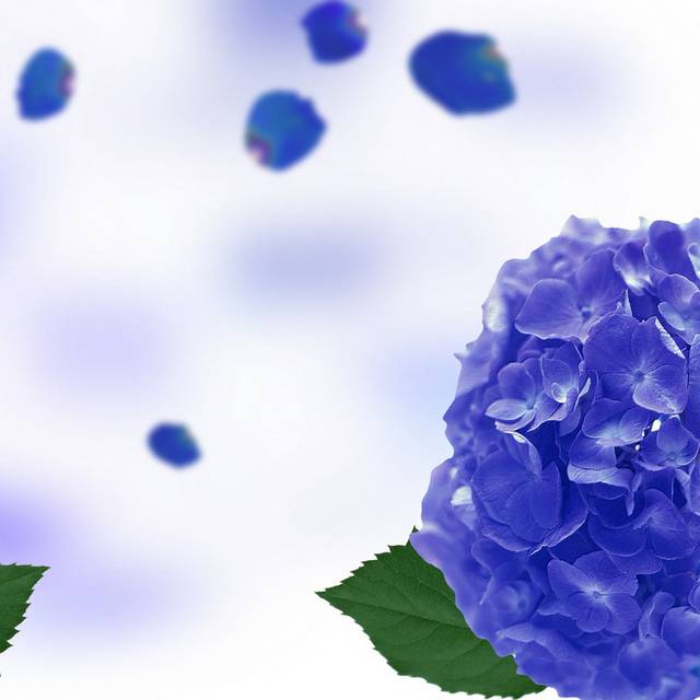 蓝色绣球花装饰画2
