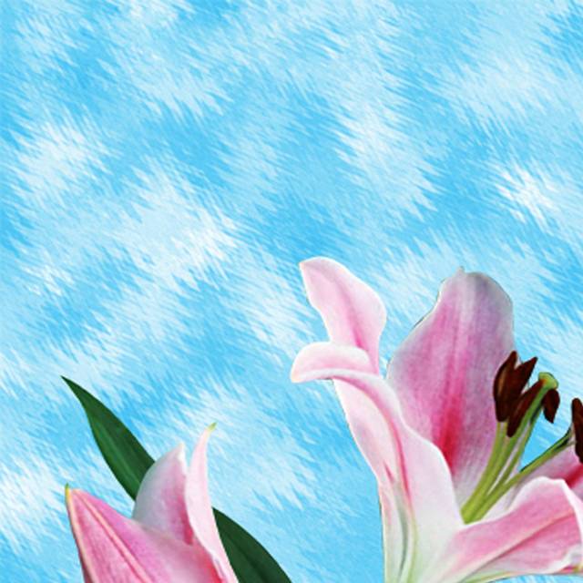 手绘蓝底花卉装饰画