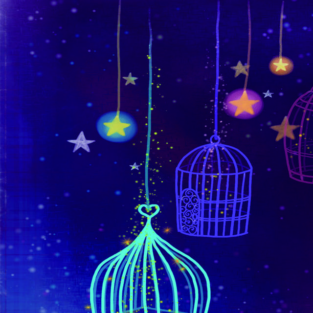 夜空中的鸟笼装饰画