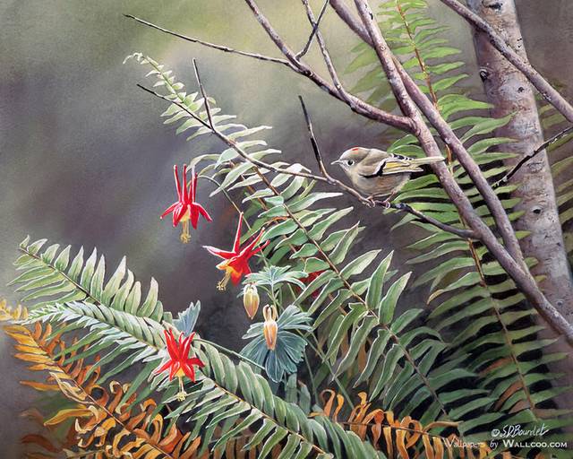 树枝上的小鸟客厅装饰画