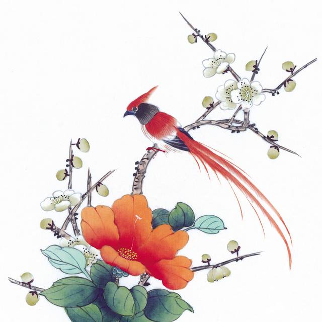 橘色花鸟工笔画