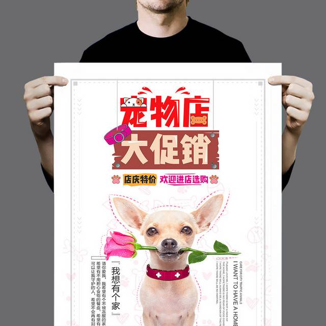 时尚大气宠物海报设计
