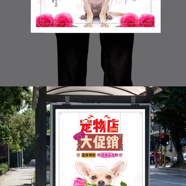 时尚大气宠物海报设计