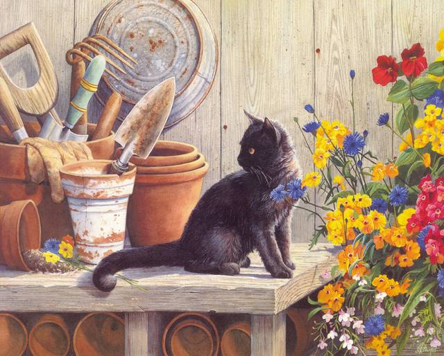 木桌上的黑猫装饰画