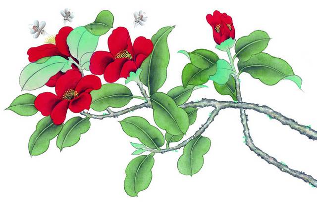 红花装饰工笔画