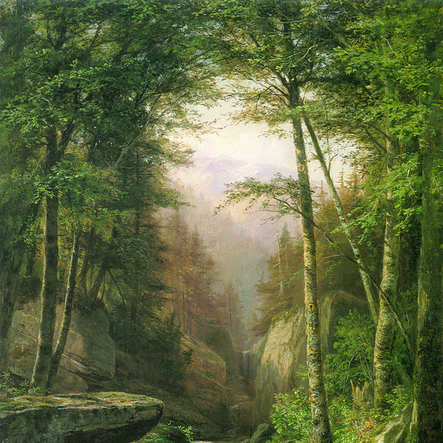 油画树林装饰画6