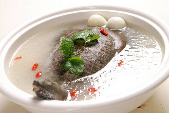 潇湘洞庭玉珠水鱼图片