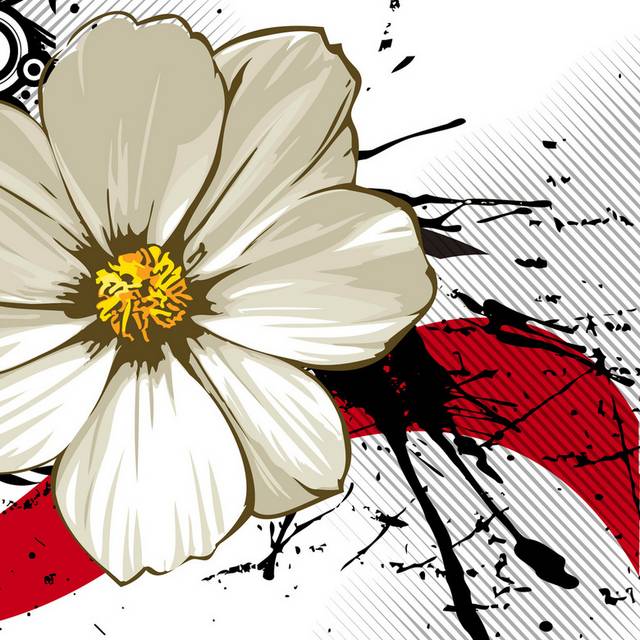 泼墨黑红线条白色花朵装饰画2