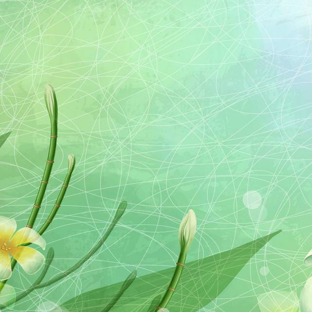 手绘绿底白色黄蕊花朵装饰画1