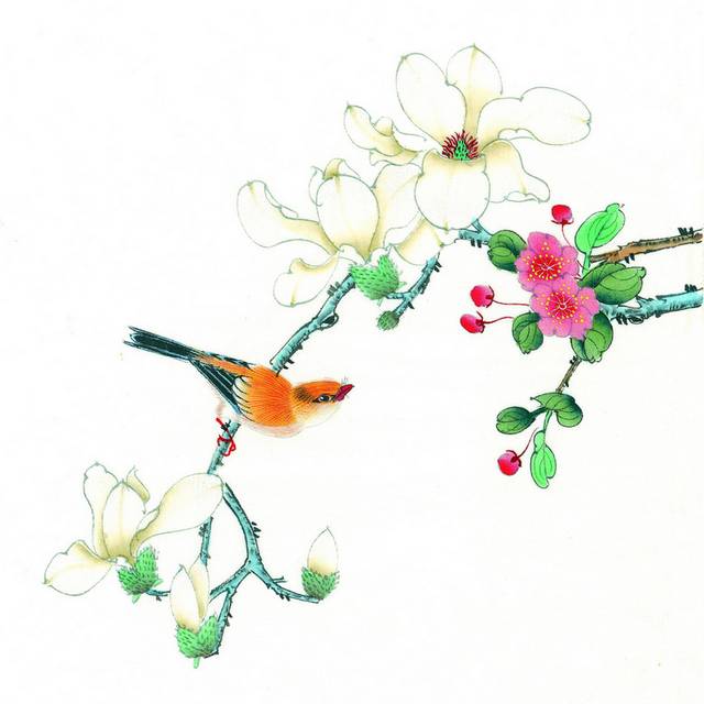 橘色鸟与花卉工笔画