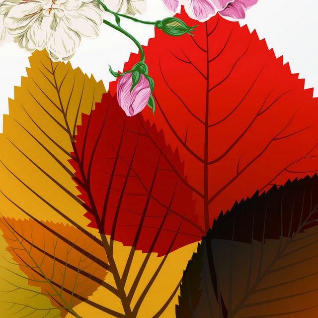 落叶花朵装饰画2